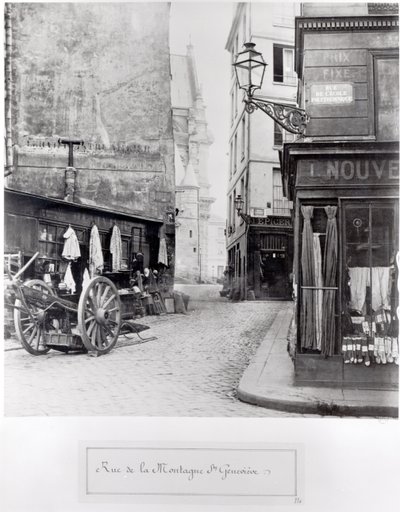 Rue de la Montagne Sainte-Genevieve, Paris, 1858-78 by Charles Marville